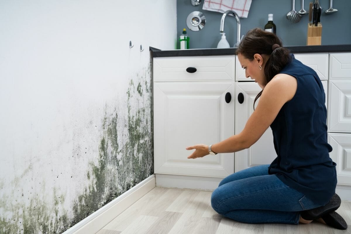 How To Clean Mold Off Walls