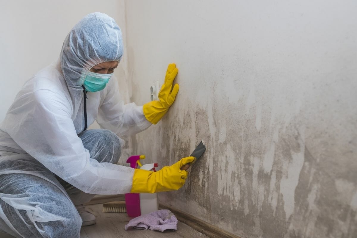 How To Clean Mold Off Walls