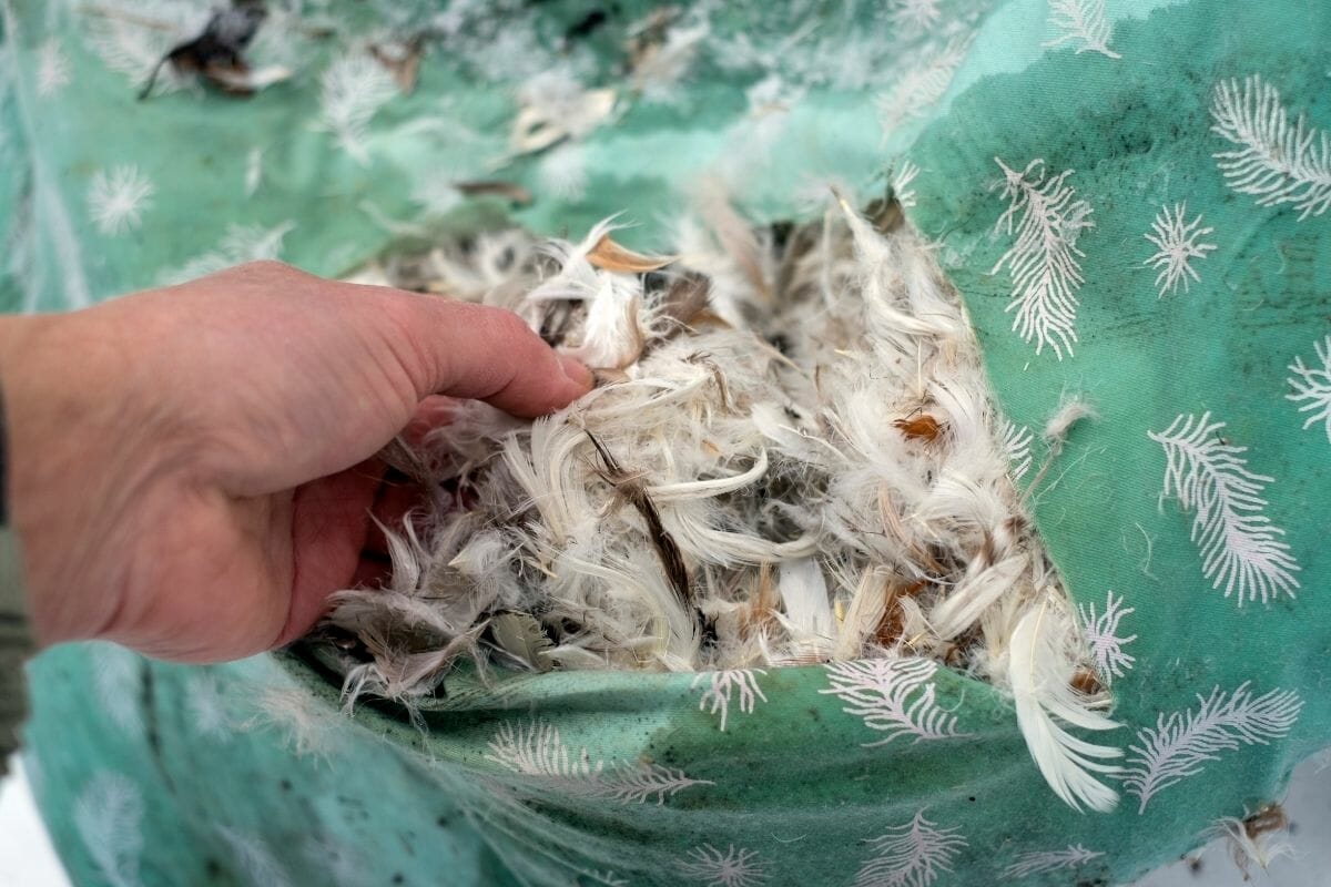 How To Wash A Feather Pillow