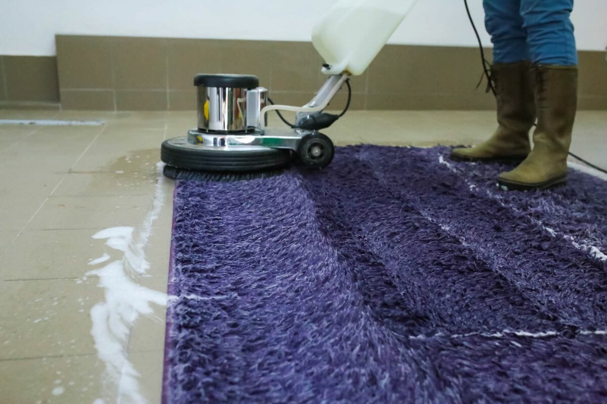 how often should you shampoo your carpet