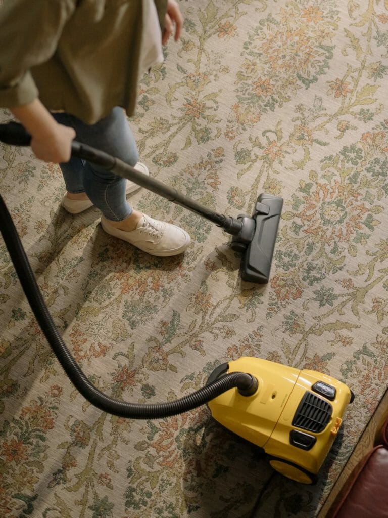Maintenance and Carpet Care