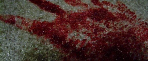 How to Get a Blood Stain Out of Carpet: A Comprehensive Guide