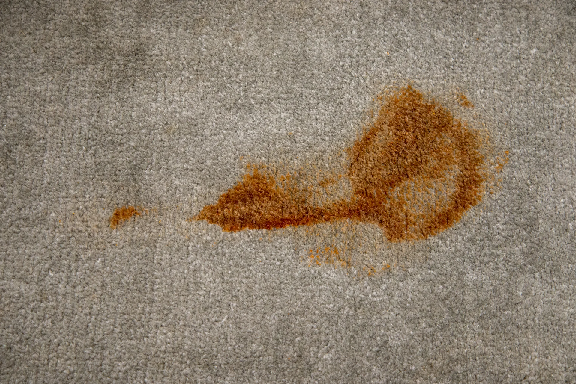 How To Get Ink Stains Out Of Carpet