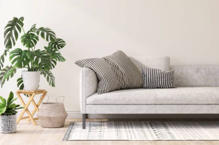 How to Use Plants in Interior Design: A Guide to Adding Greenery Screen Shot 2024 08 30 at 8.23.33 pm