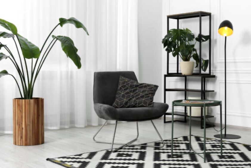 How to Use Plants in Interior Design: A Guide to Adding Greenery Screen Shot 2024 08 30 at 8.30.57 pm